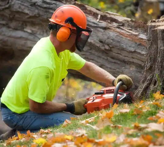 tree services Morenci